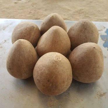 coconut Fat 0.2 G Sugars 2.6 G Sodium 105 Mg Protein 0.7 G Energy 19 Kcal Magnesium 25 Mg Potassium 250 Mg Shape Oval To