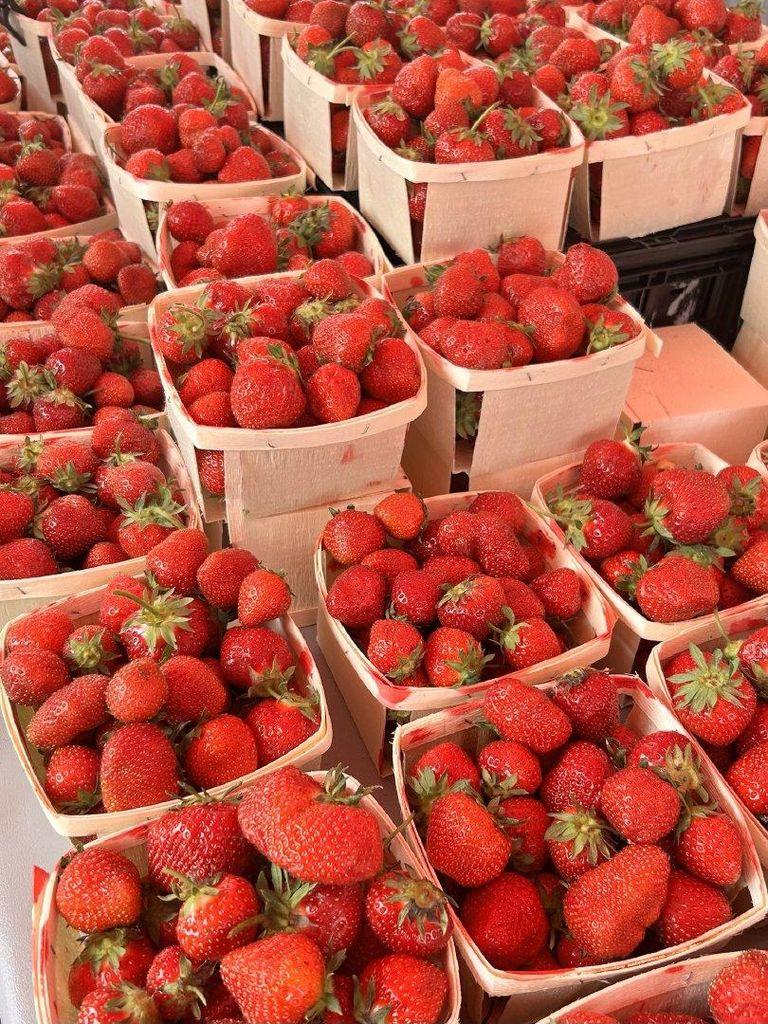 Dried Strawberry