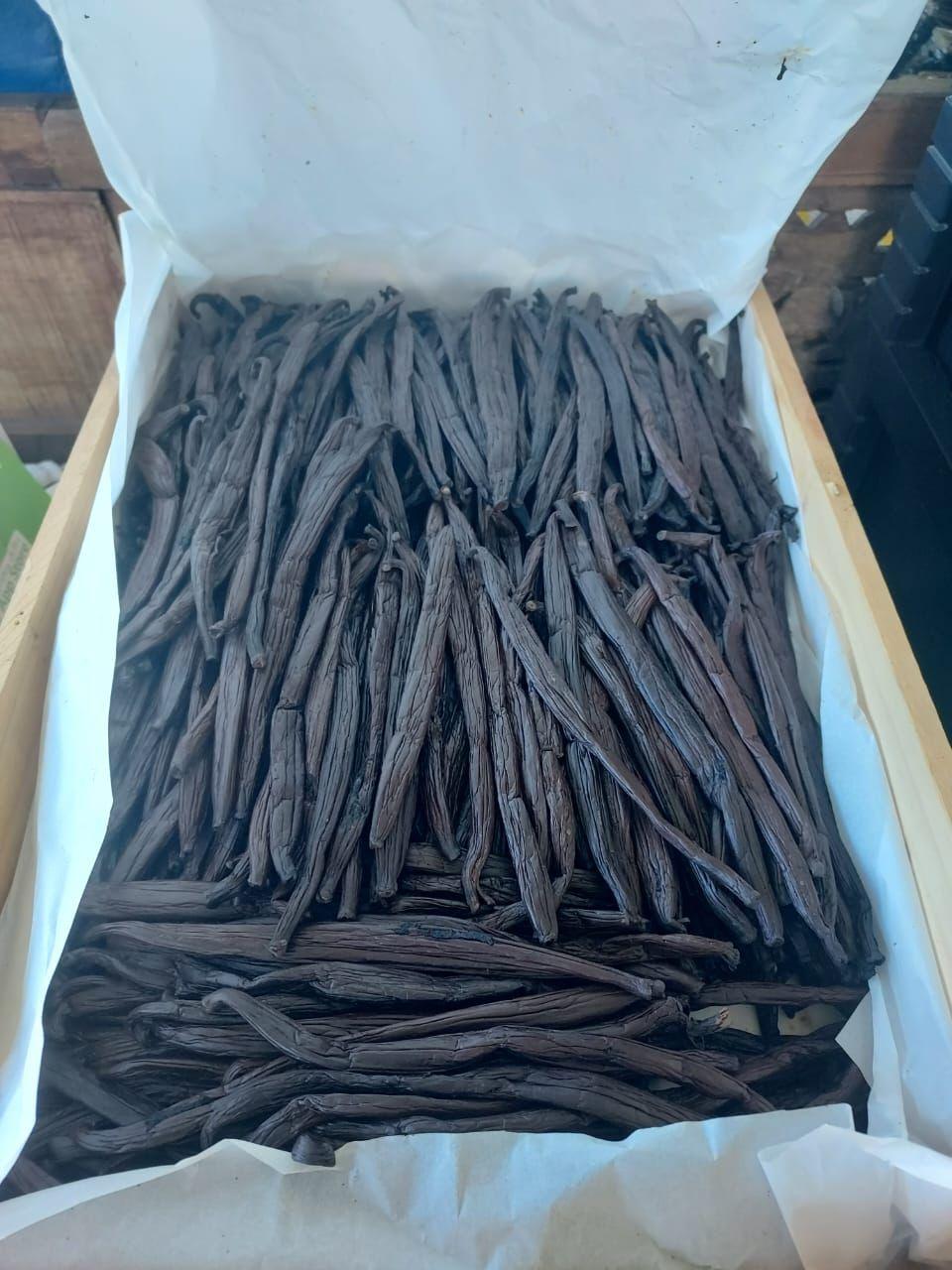 Vanilla Bean