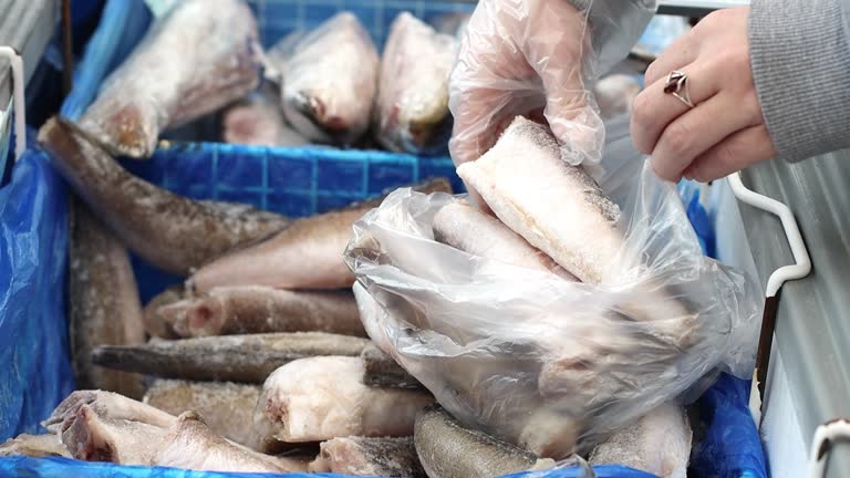 A Comprehensive Guide to Sourcing High-Quality Frozen Fish: Top 10 Frozen Fish Suppliers in Germany in Quarter 3 of 2025
