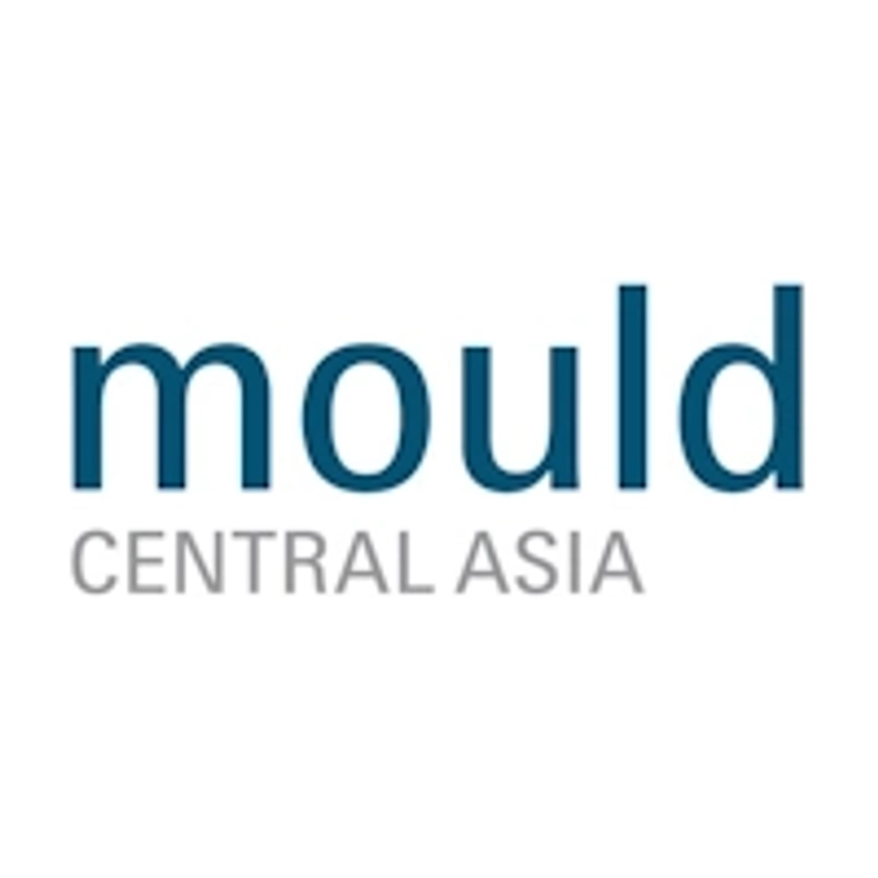 Mould Central Asia Revealed: B2B Opportunity