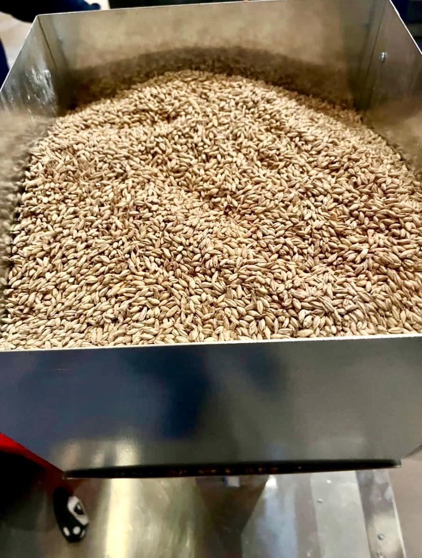 BEST BRAND OF MALTED BARLEY AND SPECIALITY GRAINS FOR BREWING & FOOD PROCESSING FOR SALE/25 KG BAGS BRIESS MALT & INGREDIENT ON SALE