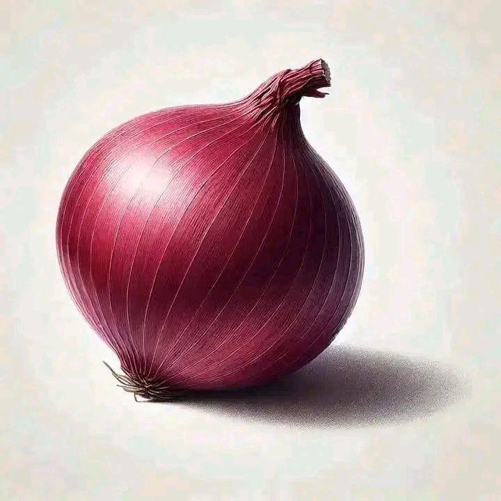 Fresh Onions Supplier |Wholesale Red, White & Yellow Onion Exporter