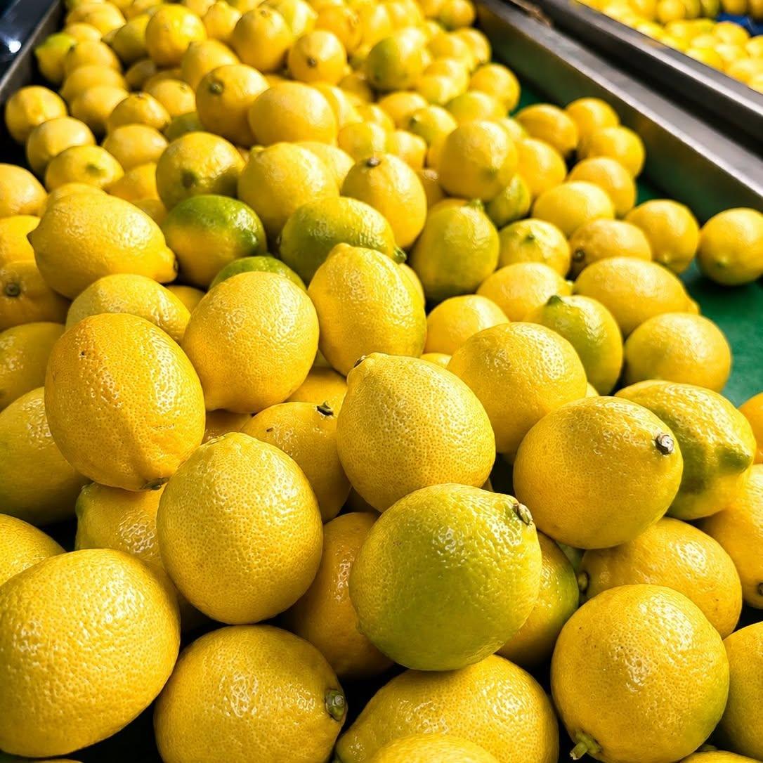 Fresh Yellow Lemons