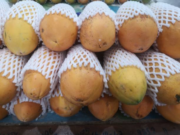 Your Expert Guide to Procuring Top-Tier Papaya: Top 6 Papaya Suppliers in France in August 2025