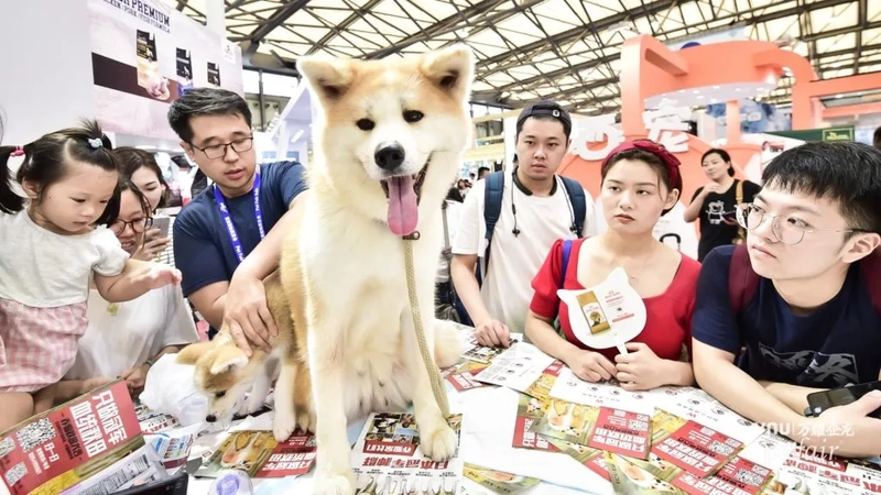 PET FAIR ASIA Revealed: B2B Opportunity - 2