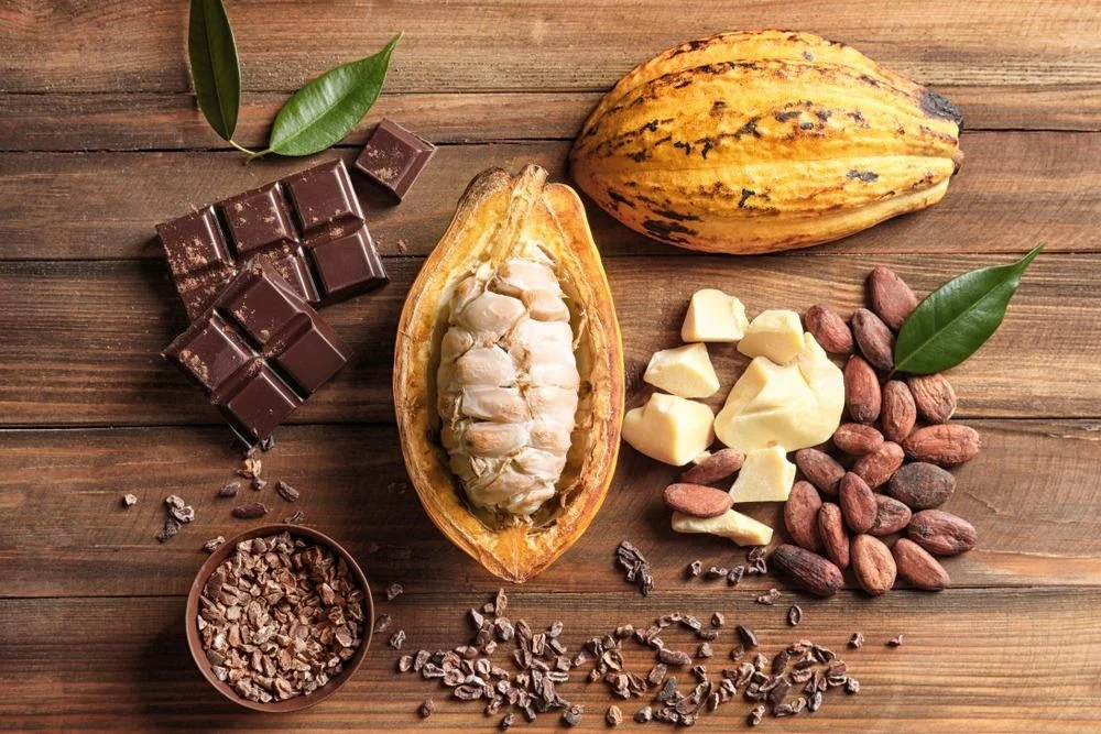 Cocoa: From Leading Producers to Processed Products