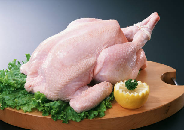 Your Expert Guide to Procuring Top-Tier Frozen Chicken: Top 3 Frozen Chicken Suppliers in Canada in Year 2025