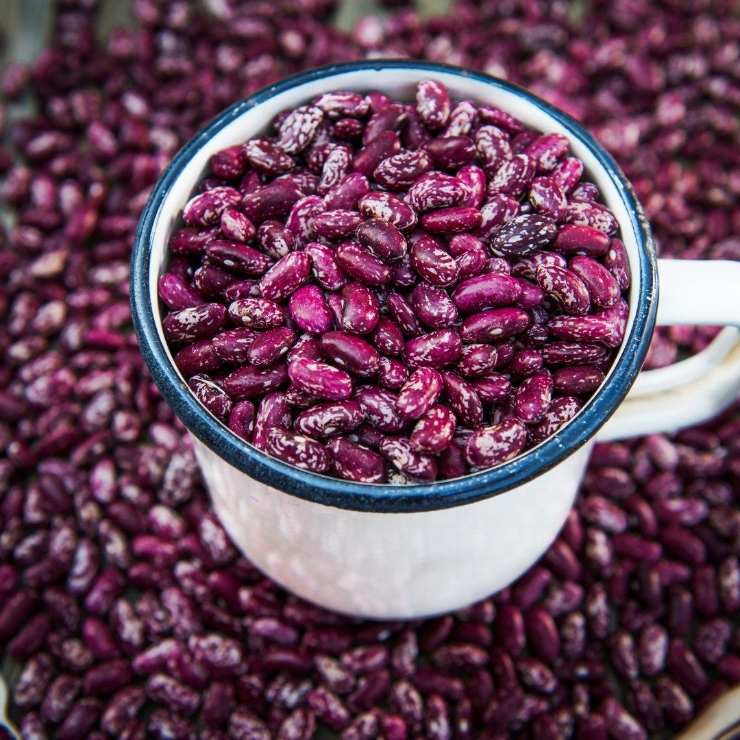 99% Clean Red Kidney Beans Premium Red Kidney Beans Bulk Export Supply For Wholesale Grocery Distributors Natural Protein Food