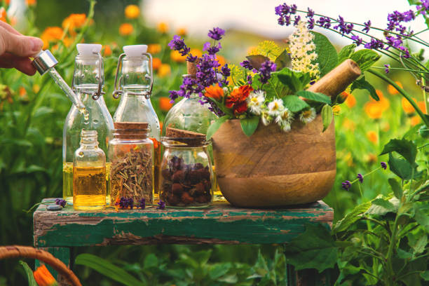 Top 6 Herbal Extract Suppliers in Belgium in August 2025: Market Overview & Strategic Insights