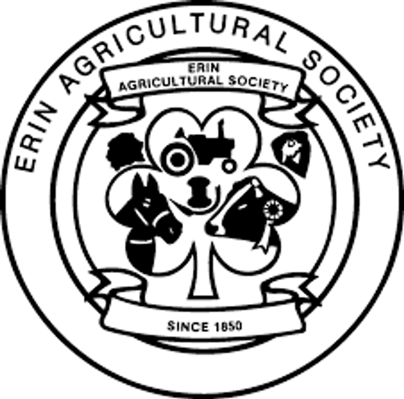 Why Erin Fair Matters for B2B