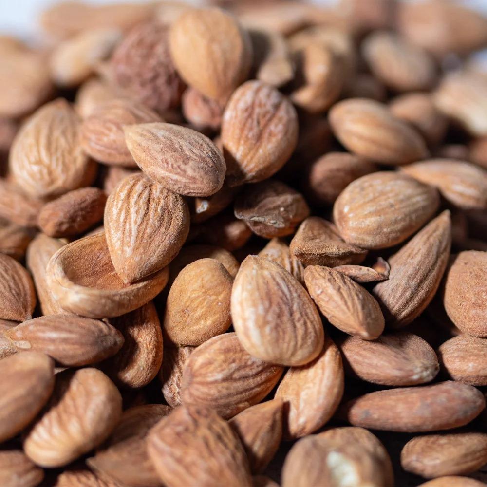Premium Organic Dried Food Apricots Kernels With Natural Processing And Export Packing For Global Importer