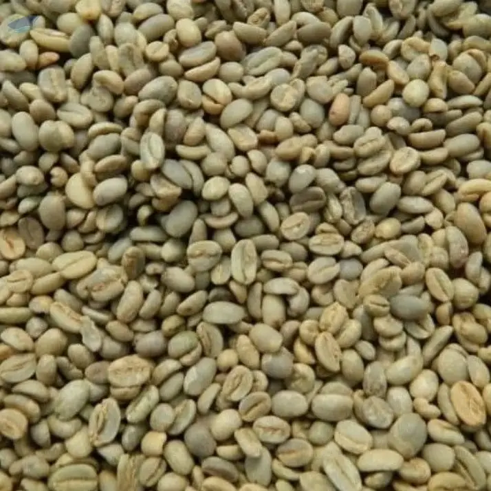 Premium Arabica and Robusta Coffee Beans for Sale