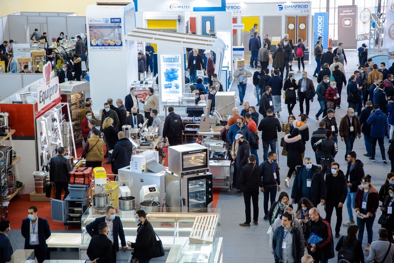 DJAZAGRO Spotlight: B2B Essentials - 3