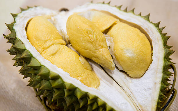 Top 4 Fresh Durian Suppliers in Global in July 2025: A Data-Driven Guide to Global Durian Export Leaders
