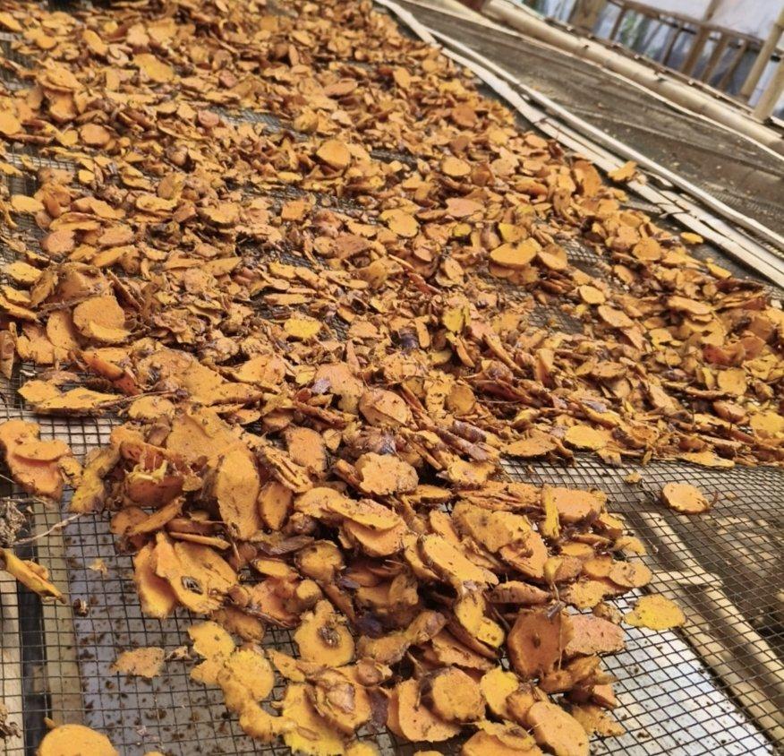 turmeric dried sliced