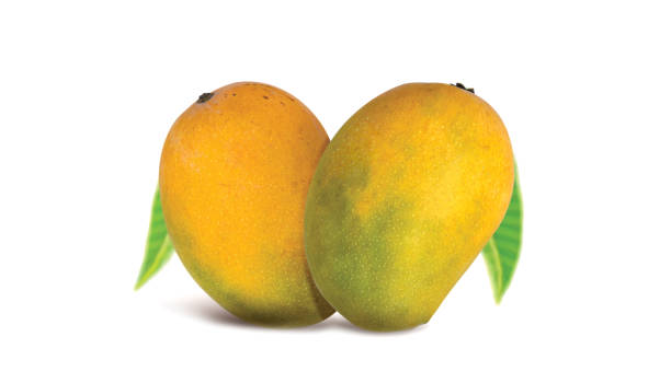 A Comprehensive Guide to Sourcing High-Quality Mango: Top 6 Mango Suppliers in Brazil in Week 12 of 2025