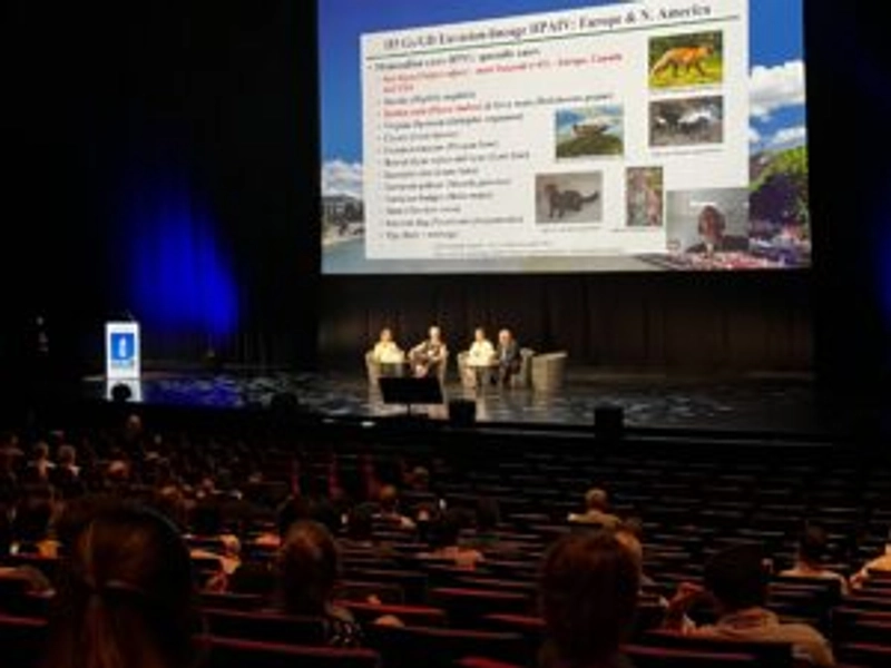 WPC - WORLD POULTRY CONGRESS Revealed: B2B Opportunity - 1