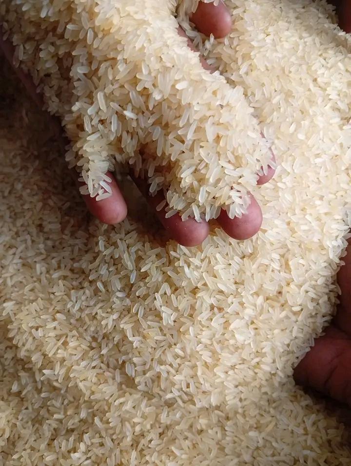 Rice