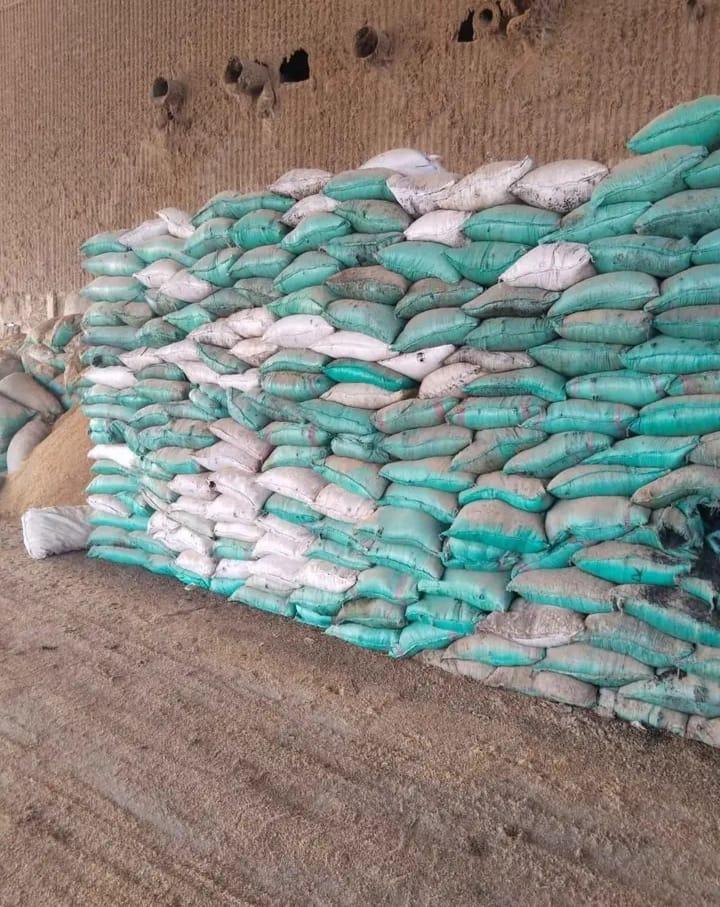 Rice Husk Image 2