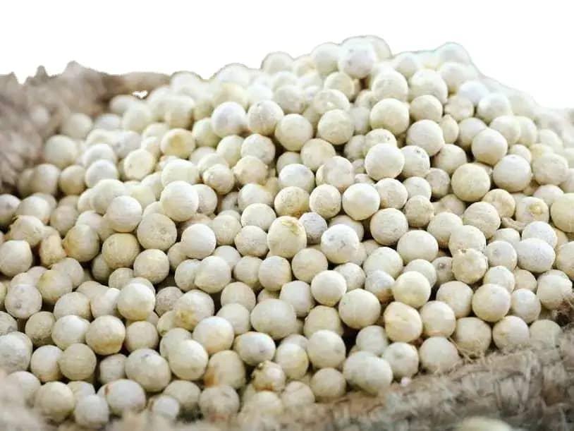 Vietnamese Origin White Pepper Seed Manufacture Single Spices & Herbs Product