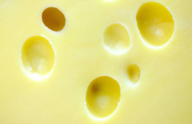 Top 9 Cheese Suppliers in United Arab Emirates in September 2025: Market Shifts, Supplier Alerts & What Buyers Need to Know