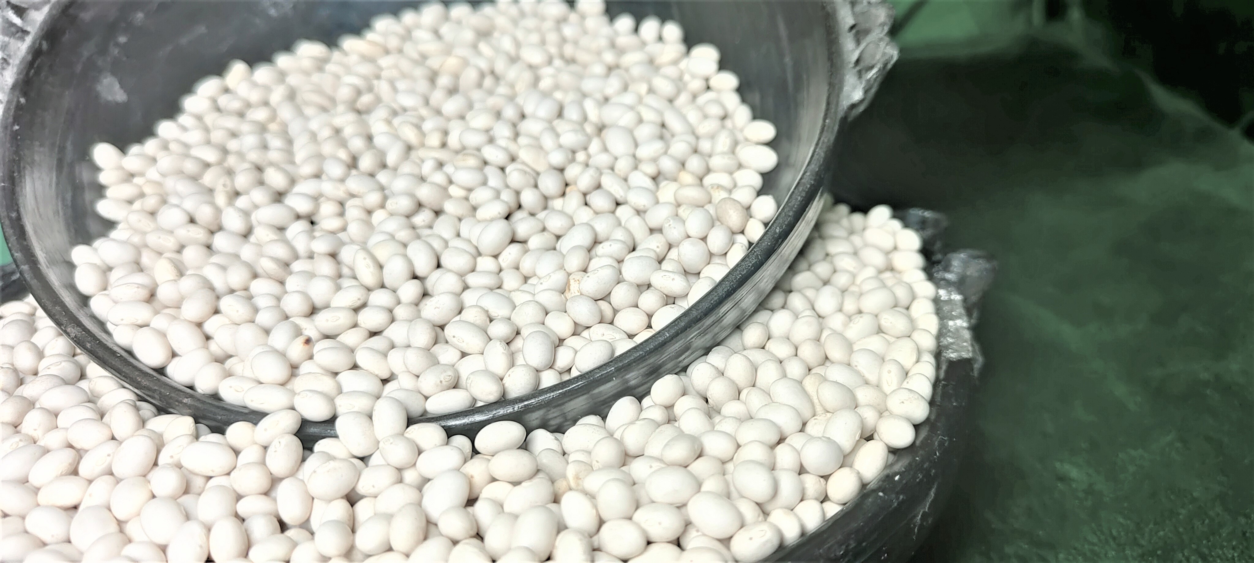 Ethiopian Origin New Crop 2024 White Pea Beans Wholesale Dried Handpicked and Polished Bulk Quality Kidney beans.