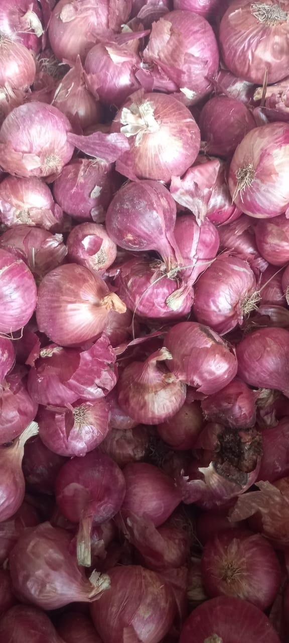 Top 10 verified Fresh Vegetables suppliers in India - 4