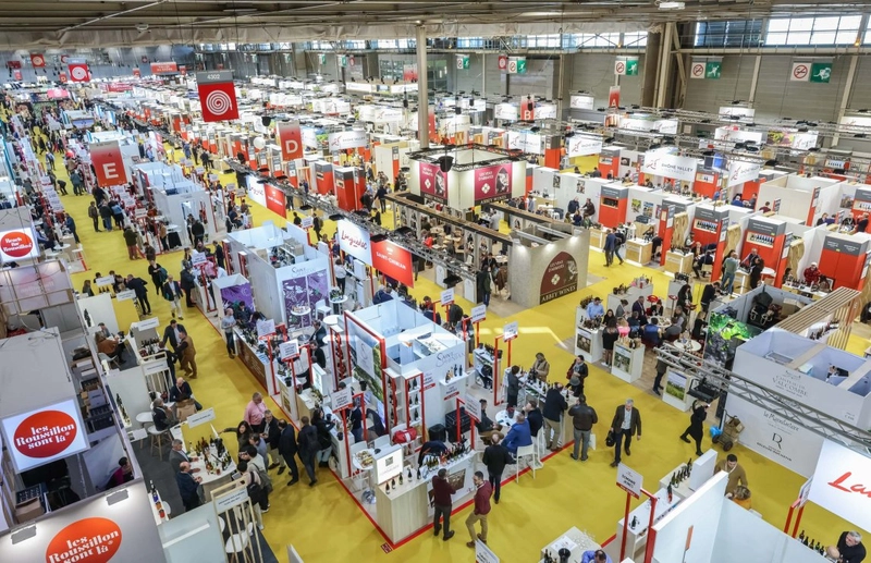 Wine Paris Revealed: B2B Opportunity - 2
