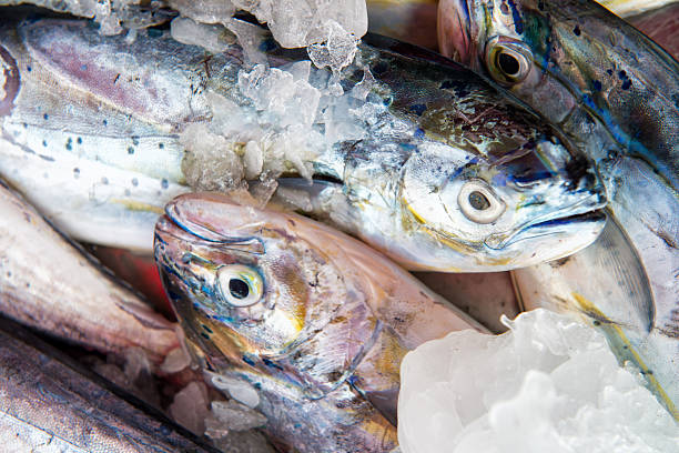 Top 8 Frozen Fish Suppliers in China in July 2025
