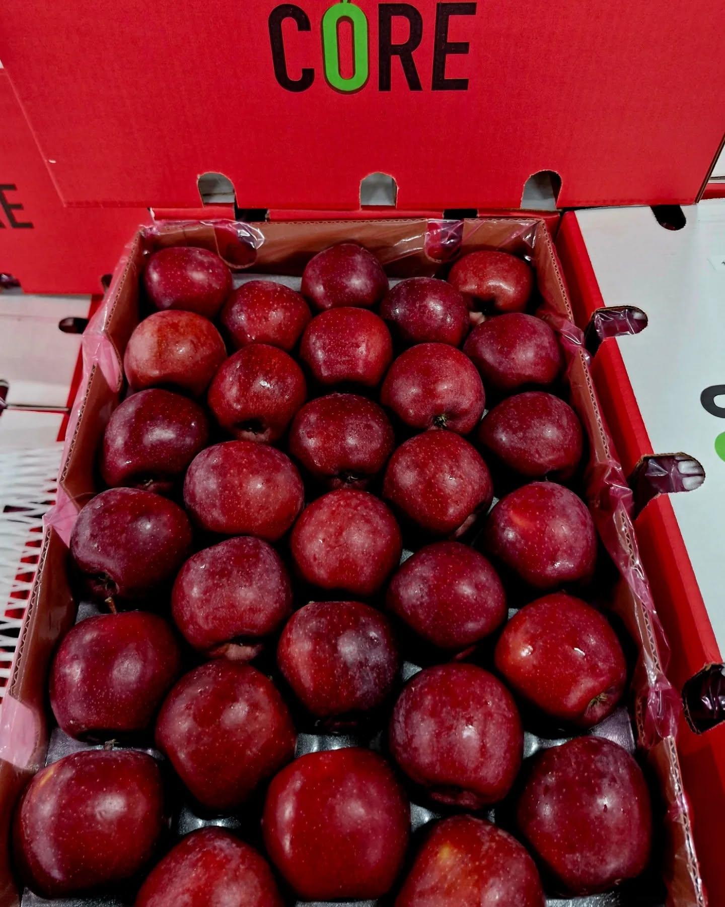 FRESH TOPRED SOUTH AFRICAN APPLES FOR SALE!! CLASS 1 EXPORT QUALITY TOPRED APPLES FOR EXPORT