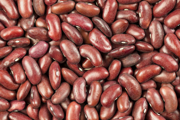 A Comprehensive Guide to Sourcing High-Quality Kidney Beans: Top 9 Kidney Beans Suppliers in Belgium in July 2025