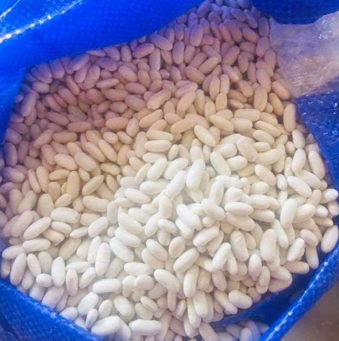 WHITE KIDNEY BEANS Features GMO-Free Degree of Processing Dried