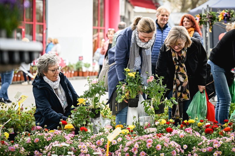 BLUEHENDES OESTERREICH - GARTENMESSE Spotlight: B2B Essentials - 2