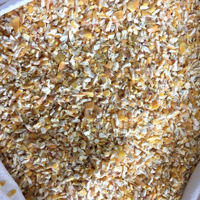 Crushed Maize Place of Origin South Africa Packaging In Big bags, 1000 kg or in Bulk