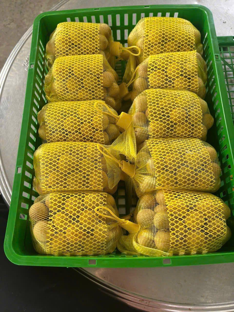 Fresh Longan Export