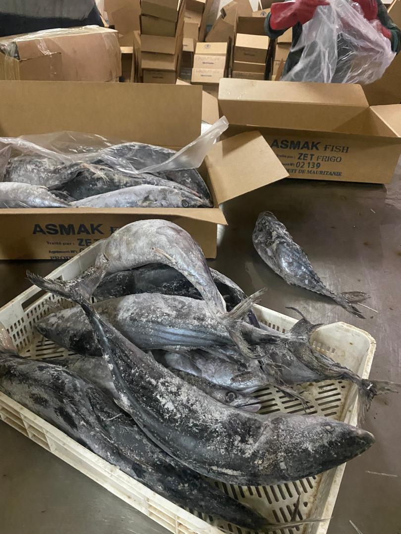 ASMAK Fish Product 2