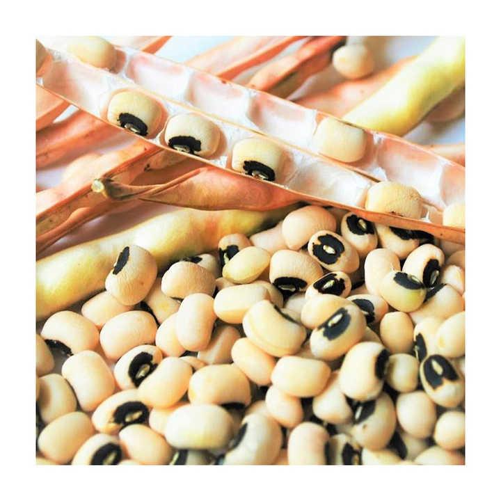 Bulk Wholesale Black Eyed Peas Beans for Global Supply – Premium Export Quality Cowpeas with High Nutritional Value, Clean Processing, Custom Packaging, Private Label Options, and Fast International Delivery for Retailers and Food Industries