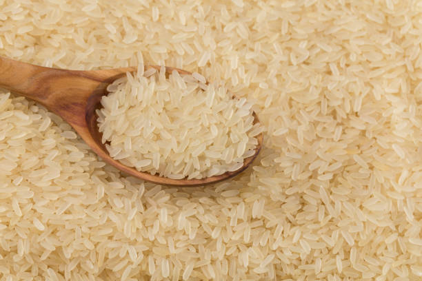 A Comprehensive Guide to Sourcing High-Quality Non Basmati Rice: Top 7 Non Basmati Rice Suppliers in United Arab Emirates in Year 2025