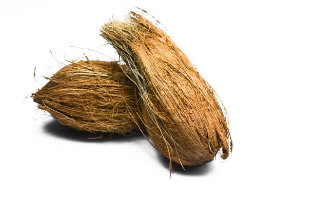 Your Expert Guide to Procuring Top-Tier Coconut: Top 9 Coconut Suppliers in Vietnam in Week 02 of 2025