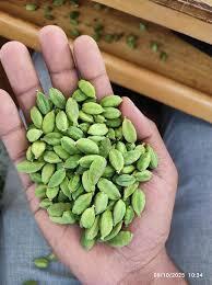 Green Cardamom Image 2