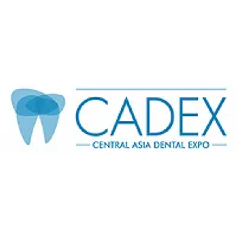 Inside CADEX Almaty: B2B Key Insights