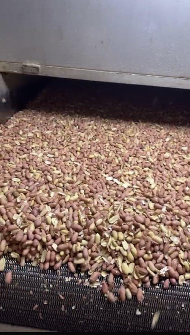 Blanched Peanuts