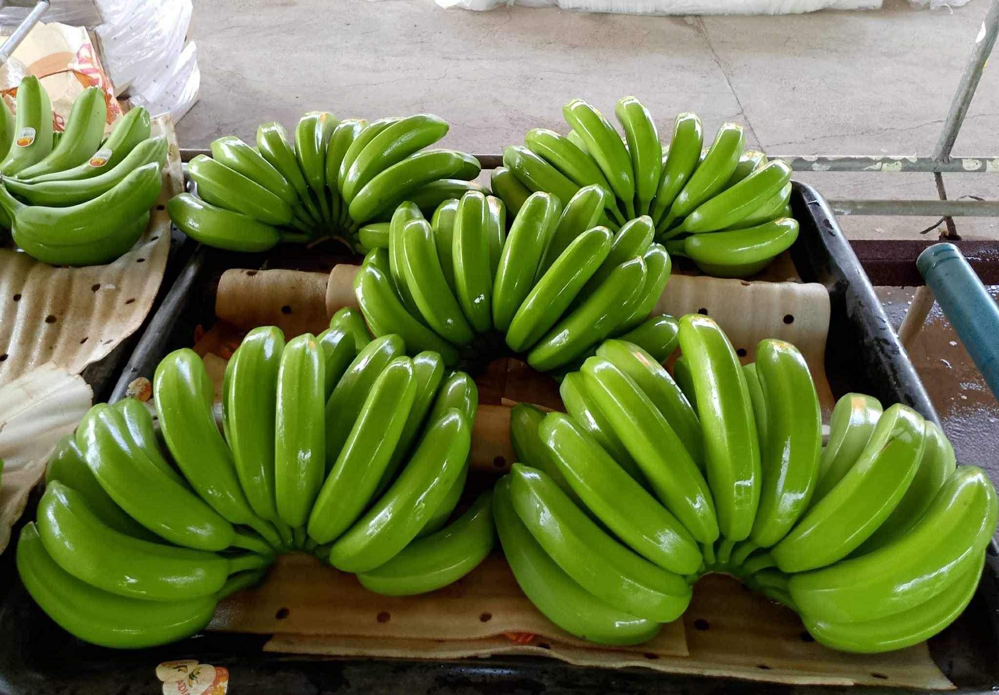 Fresh Bananas