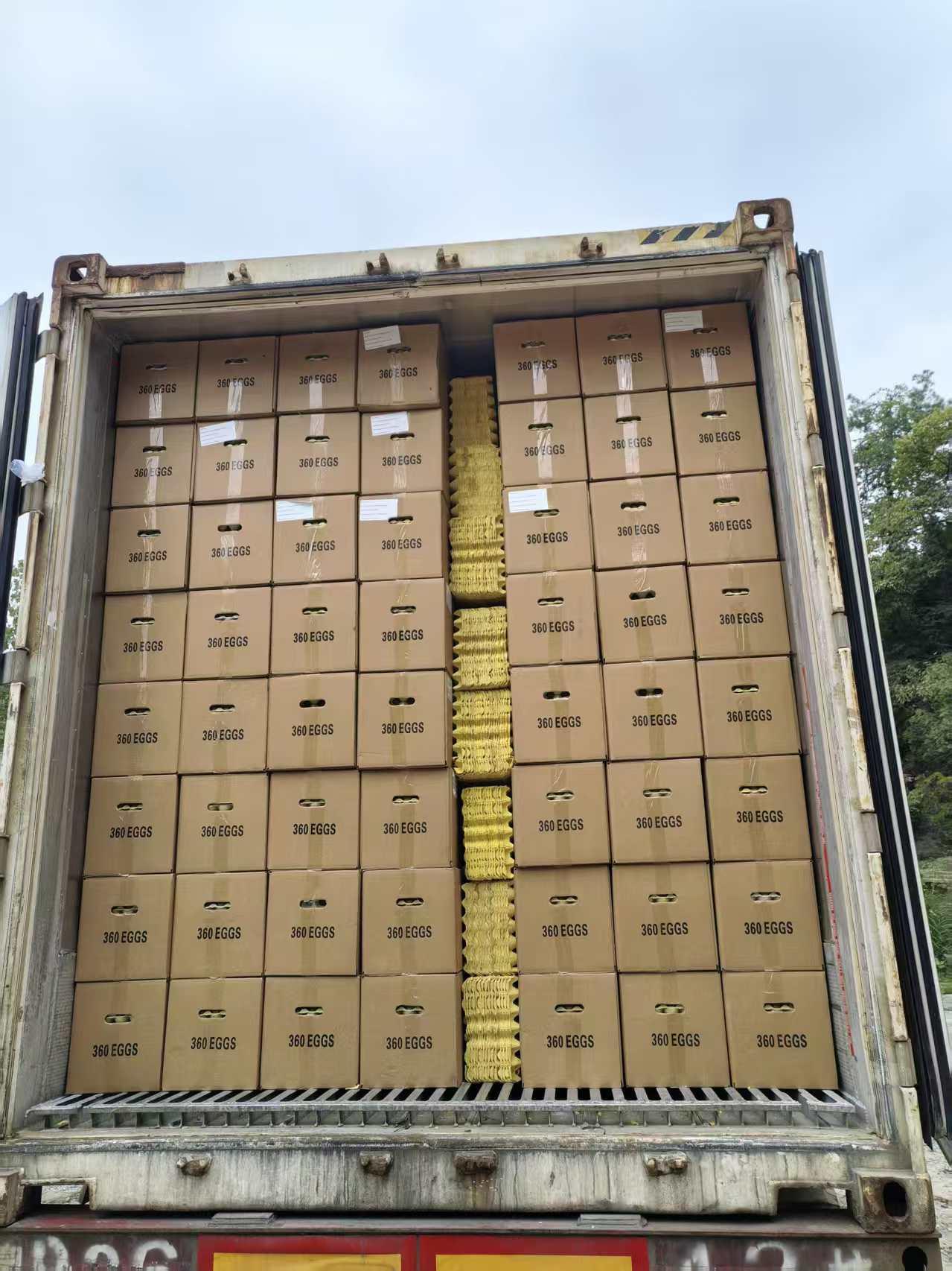 Egg Export