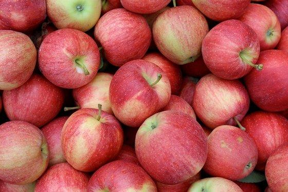 Fresh Apples ( Fuji,Gala,Red,Delicious Apples) Organic Yes Taste Profile Sweet Skin Condition Smooth Juice Content Full Juice
