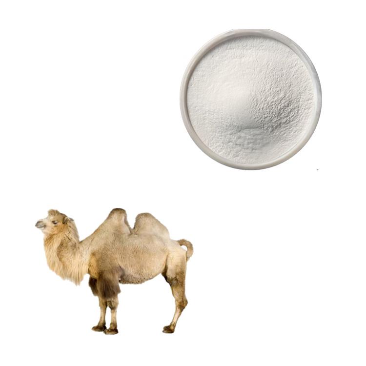Bulk 1000kg milk powder /Camel Milk Powder /Sheep Milk Powder Available
