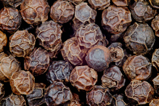 A Comprehensive Guide to Sourcing High-Quality Pepper: Top 10 Pepper Suppliers in Brazil in Week 10 of 2025