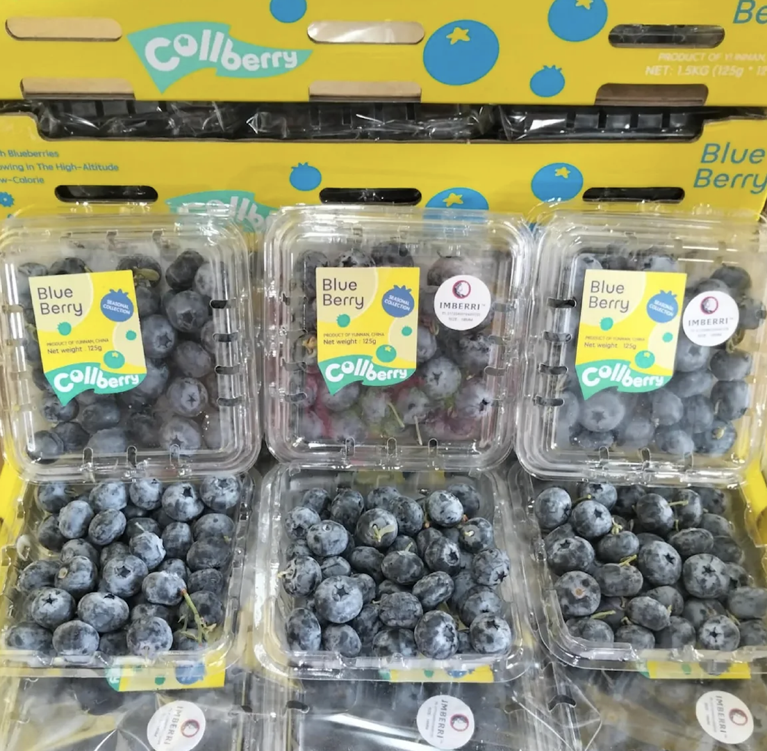 Premium Export-Quality Fresh Fruit Fresh Blueberries 125g Harvested At peak Ripeness Blueberries For Sale