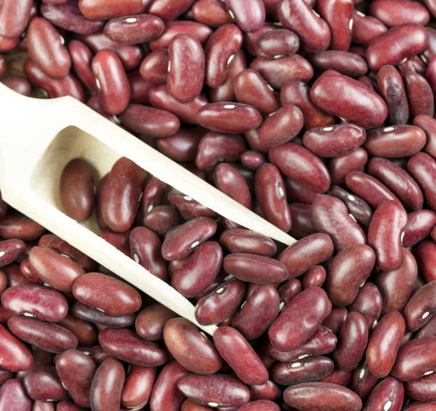 A Comprehensive Guide to Sourcing High-Quality Kidney Beans: Top 10 Kidney Beans Suppliers in Italy in July 2025